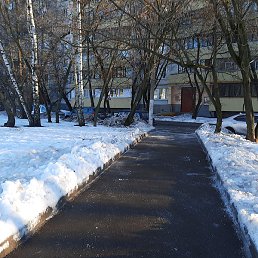 �������, ������, 37 ���