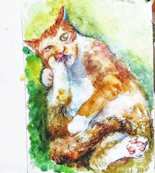 Обаятельный акварельный котик от Сафиной Юли.© Школа Рисования - 2