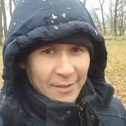 �����, �����, 46 ���