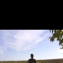 ���� ���������, ���������, 39 ��� - ��������� 11 ������� 2023