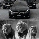 ���� ����, �����-���������, 35 ��� - ��������� 8 ������� 2022