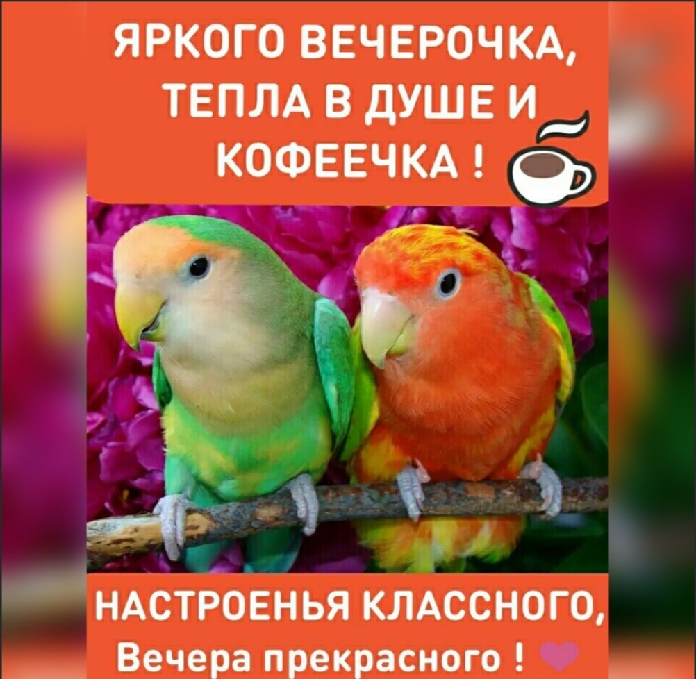  - 27  2022  12:24