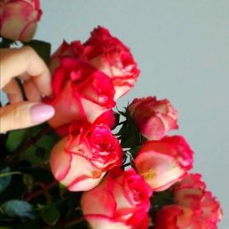 ���� ������, ������������, 47 ��� - ��������� 6 ���� 2022