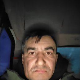 , 52 , 