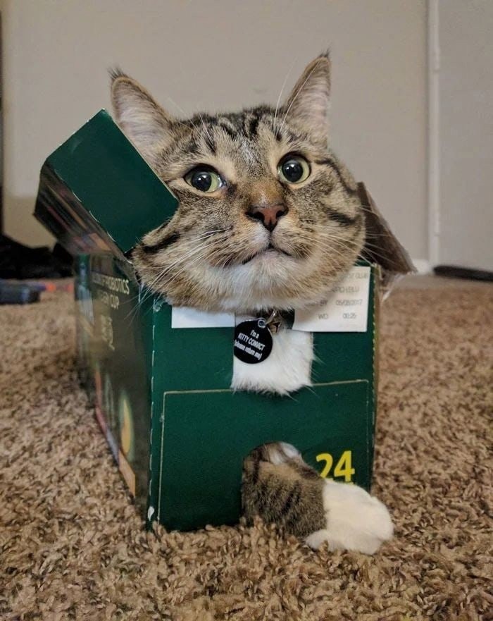 -     ...!