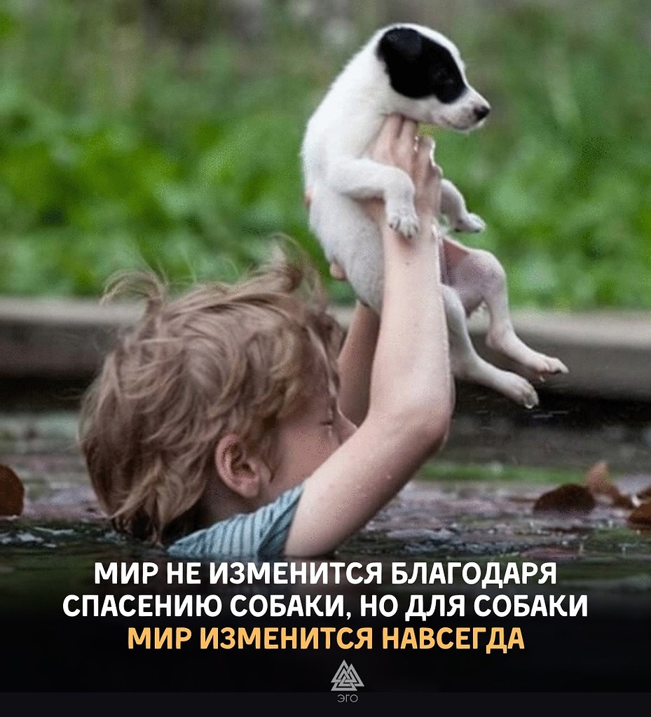  | ,  - 7  2022  20:35