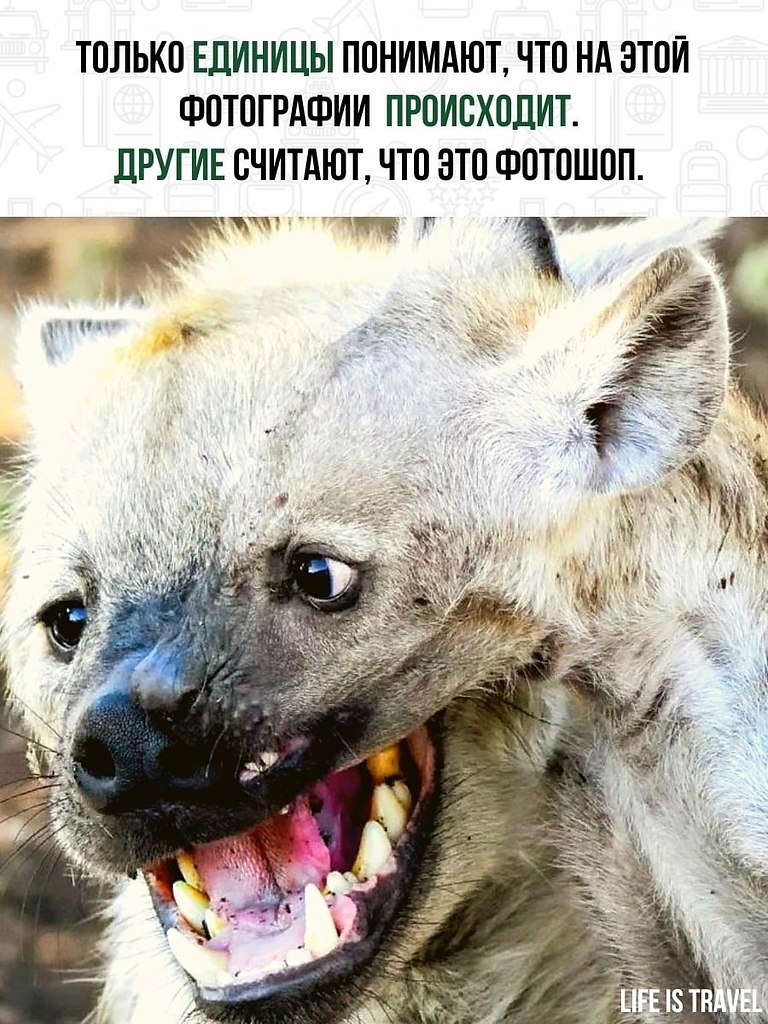   ,   ,  .