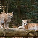 ���� Marlen, ����������� - ��������� 31 ���� 2022 � ������ ������ ��������