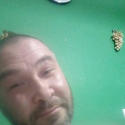 �����, �����������, 46 ���