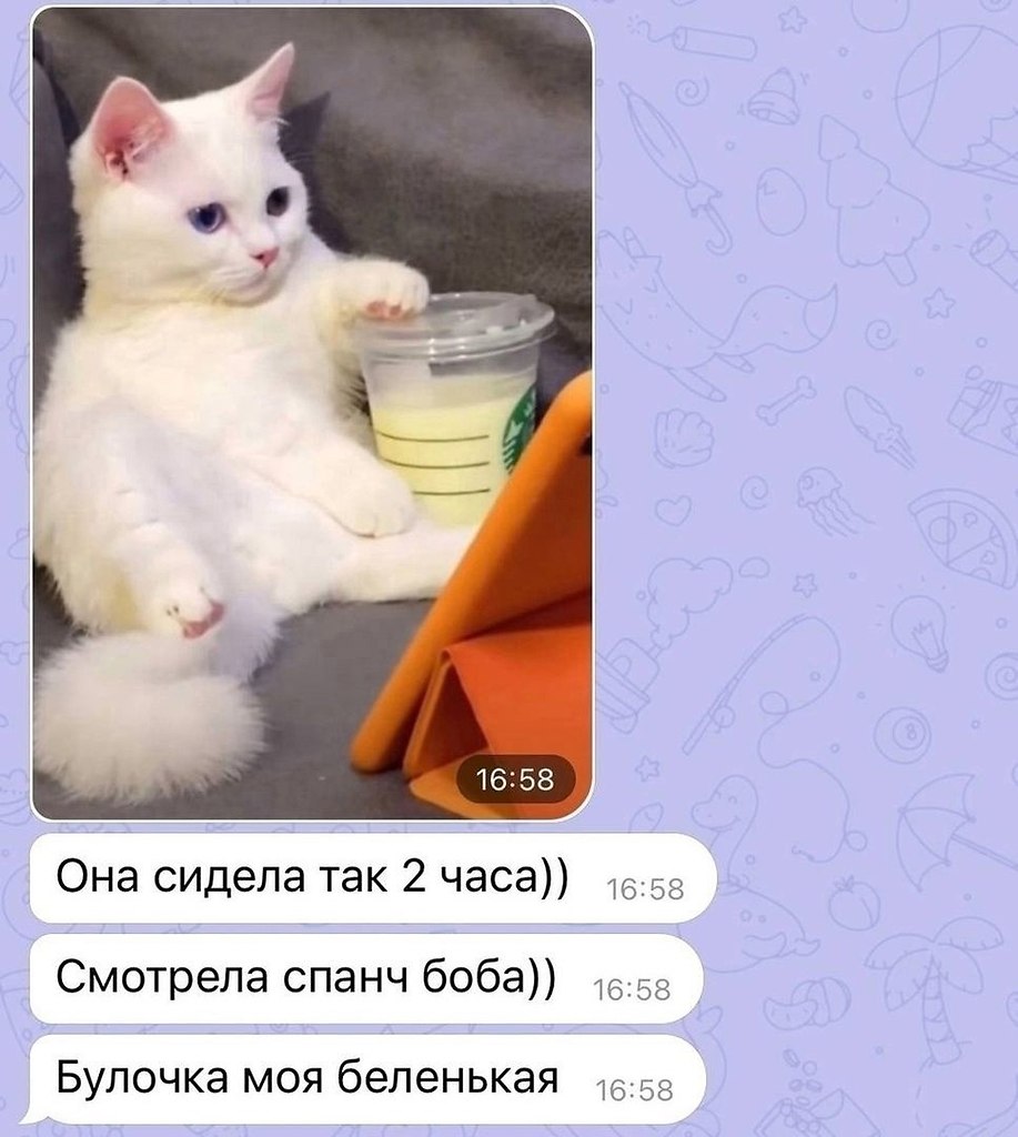    ,   .    ,      . - 2