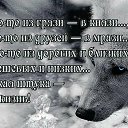  Qwerty,  -  8  2022    