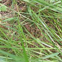  ***L***,   -  2  2022    Ż