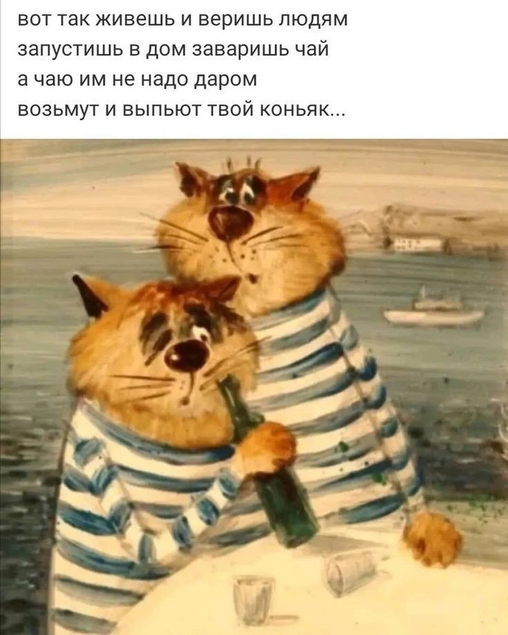   ! - 16  2022  06:27