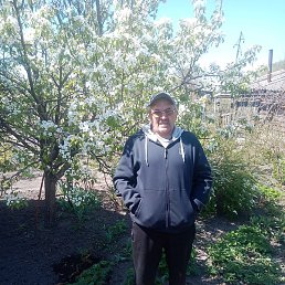 �������, �����, 48 ���