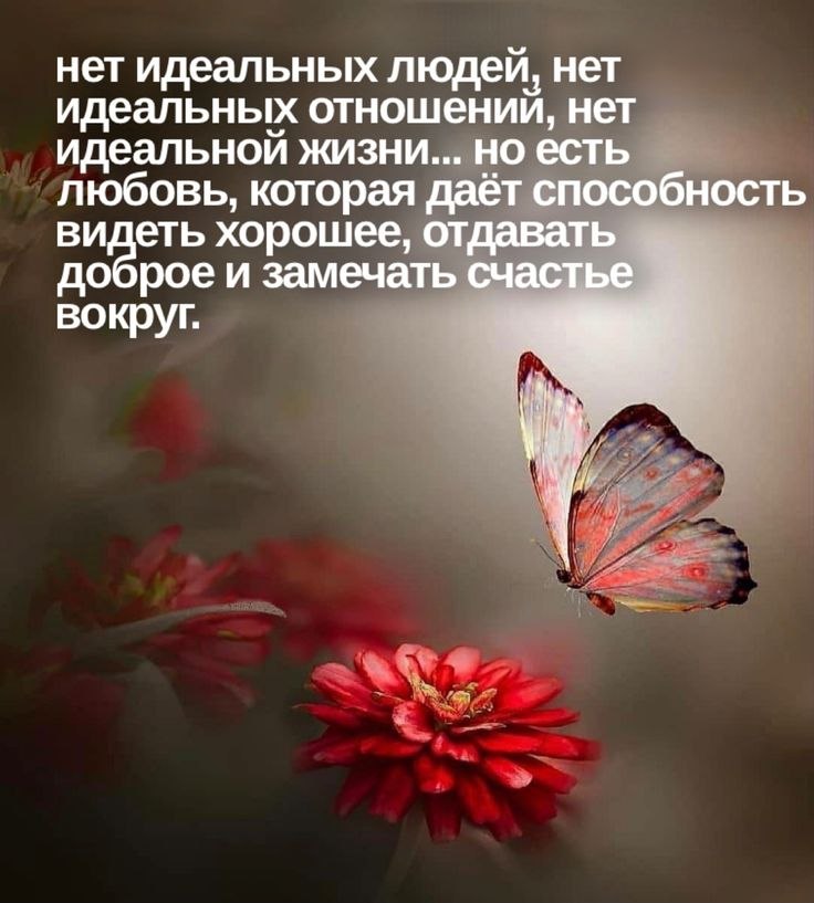   - 20  2023  16:51