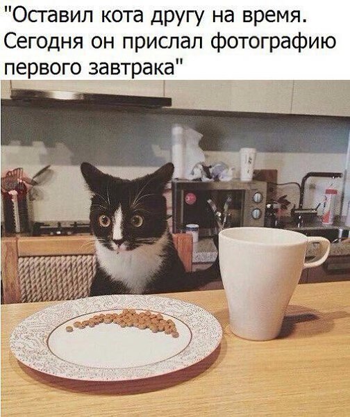    - 23  2022  00:30