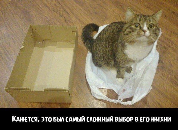  - 15  2022  06:48
