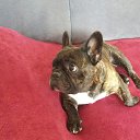 ���� ������, ��������, 55 ��� - ��������� 2 ������ 2023