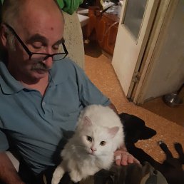 ���� ��������, �����-���������, 69 ��� - ��������� 6 ������ 2022