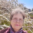 ���� ��������, �������, 63 ���� - ��������� 27 ������ 2022