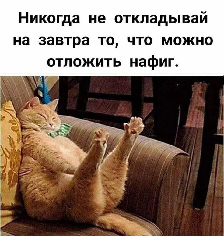   - 16  2022  22:31