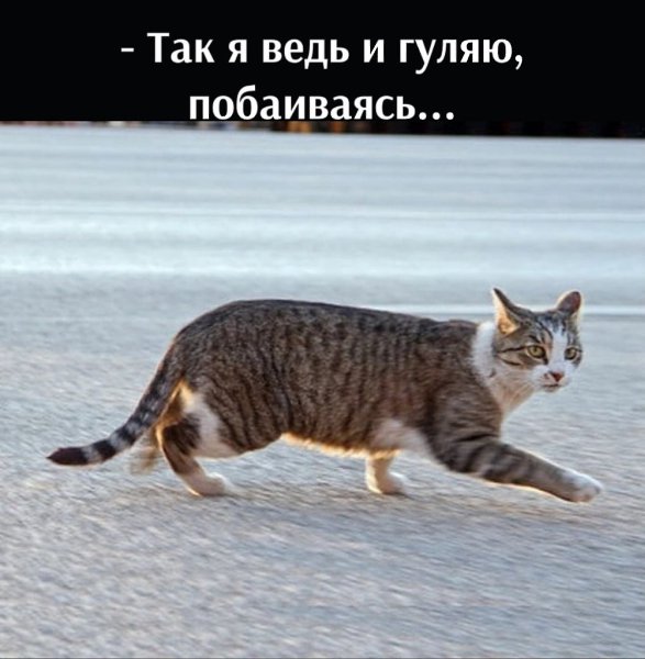       - 13  2022  22:03 - 3