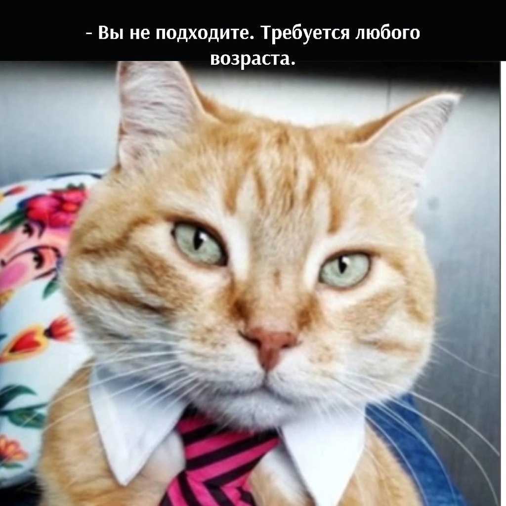      - 19  2022  13:09 - 3