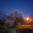 ���� ��������, ������-��-����, 61 ��� - ��������� 11 ������ 2022 � ������ ���� ����������