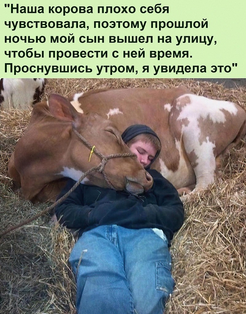 �������, ��� ��� ��������� ���� ����� :)