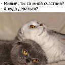 ,  -  15  2022    