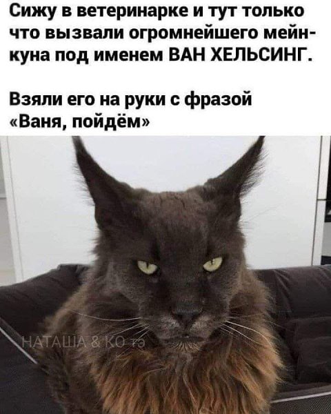   - 25  2023  09:03