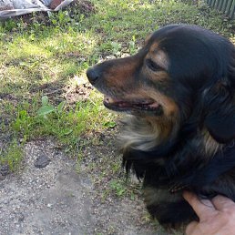 ������, ������, 53 ����