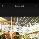 ���� ������, ������, 56 ��� - ��������� 17 ������� 2022 � ������ ���� ����������