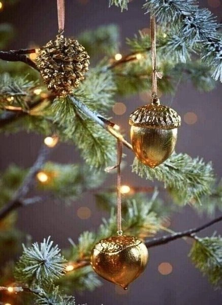   - 13  2023  23:07 - 2