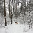 ���� ������, ���������, 50 ��� - ��������� 25 ����� 2022 � ������ ���� ����������