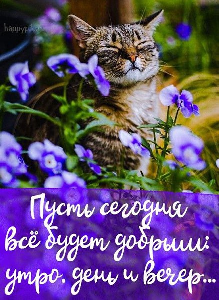 :)