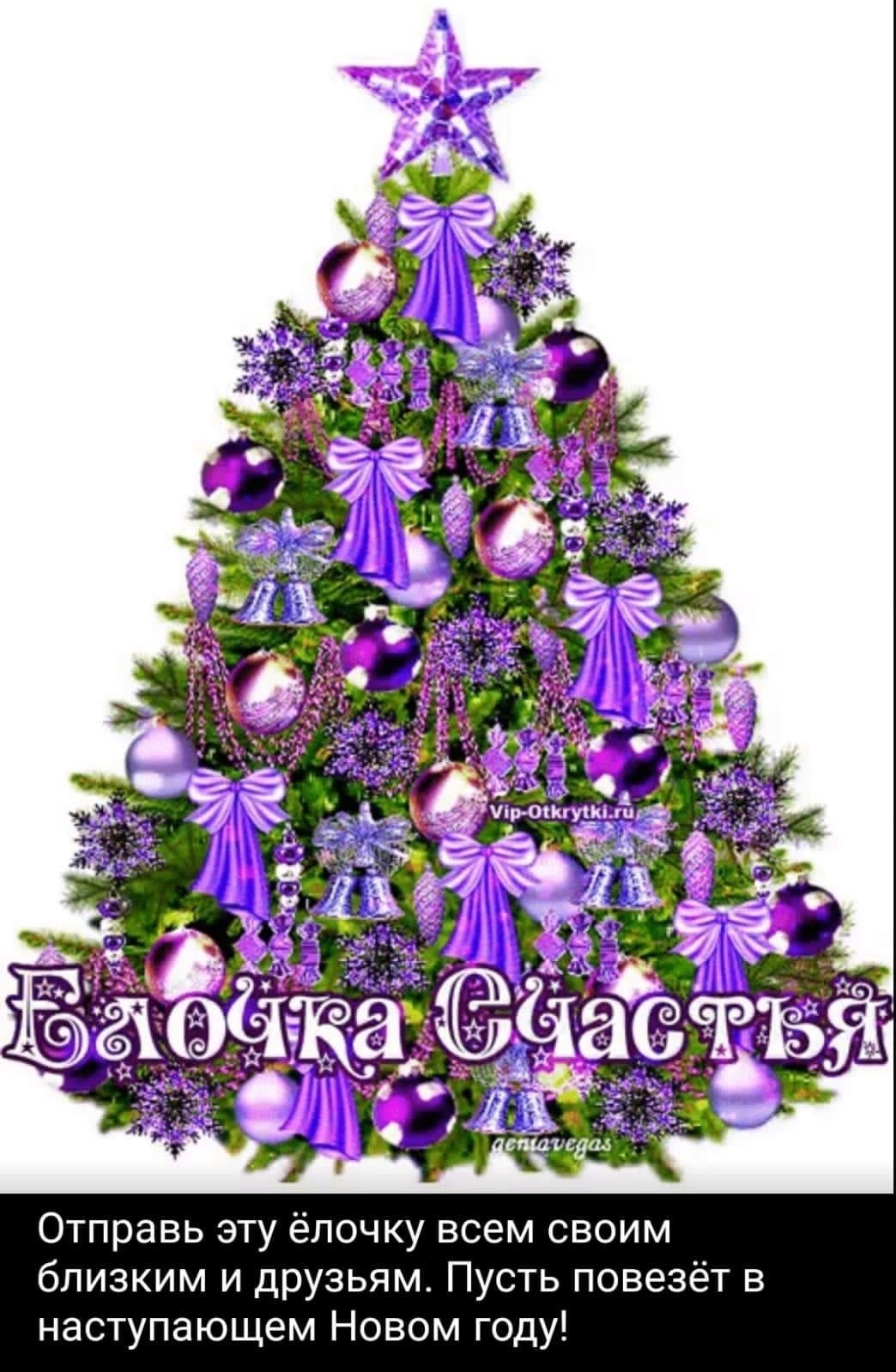 ������� �������� - 24 ������� 2022 � 20:30