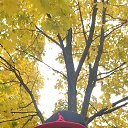 ���� ���������, ����������-���������, 39 ��� - ��������� 28 ������ 2022 � ������ ���� ����������