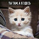 ���� ����, ������������, 40 ��� - ��������� 10 ��� 2022 � ������ ���� ����������