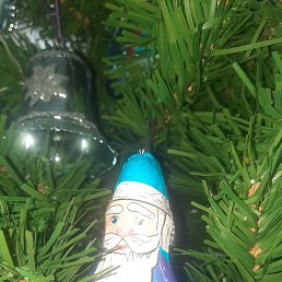 ���� ����, ��������, 46 ��� - ��������� 26 ������ 2023