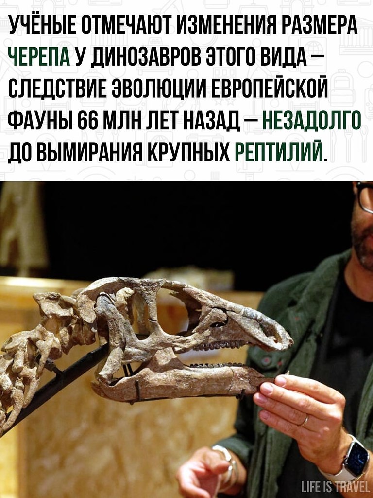       . - 3