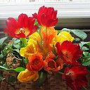 ���� ��������, Kouvola, 78 ��� - ��������� 13 ������� 2023 � ������ ������ ��������