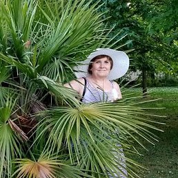 ����, �������, 62 ����