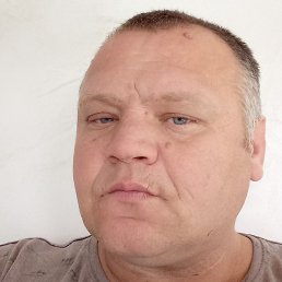 ����, ������-��-����, 46 ���