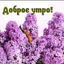 ���� �����, ������, 77 ��� - ��������� 7 ��� 2022 � ������ ���� ����������