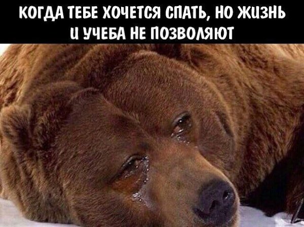    - 7  2022  04:12