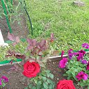 ���� ��������, �����, 72 ���� - ��������� 28 ���� 2022