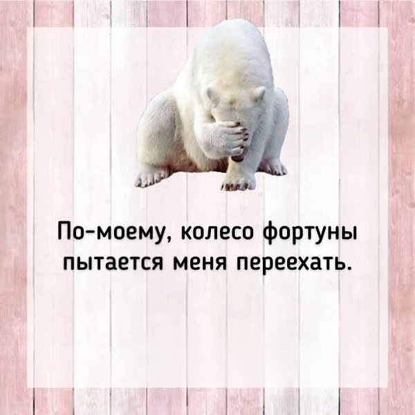 ***Victoria Viktorovna*** - 21  2022  03:52