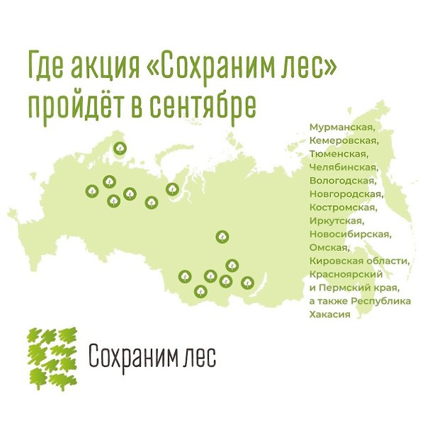 Построить дом, вырастить сына и посадить дерево…а может целый лес? Есть отличная идея, как провести ... - 4