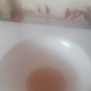  , , 51  -  28  2022